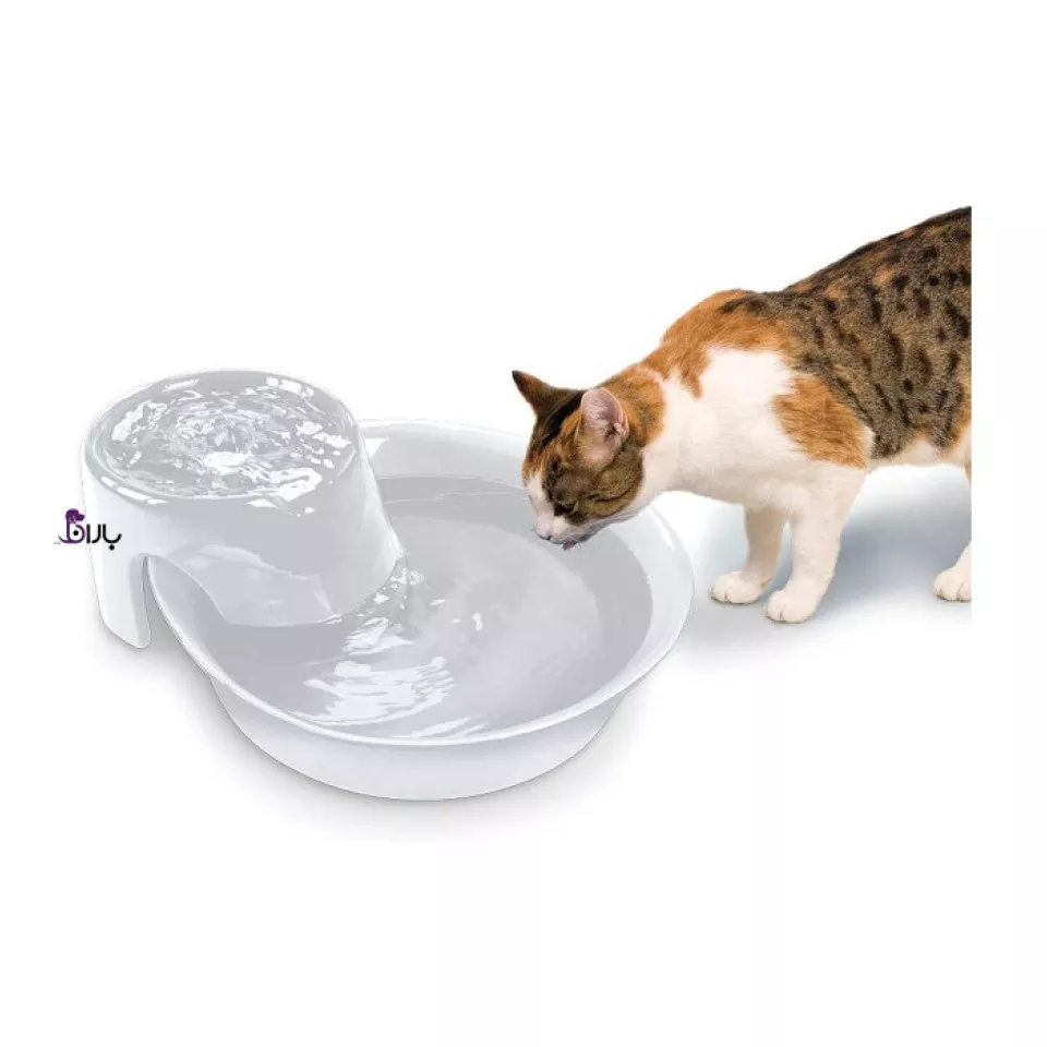 ظرف آبخوری اتوماتیک استیل مخصوص سگ و گربه (2 لیتری)