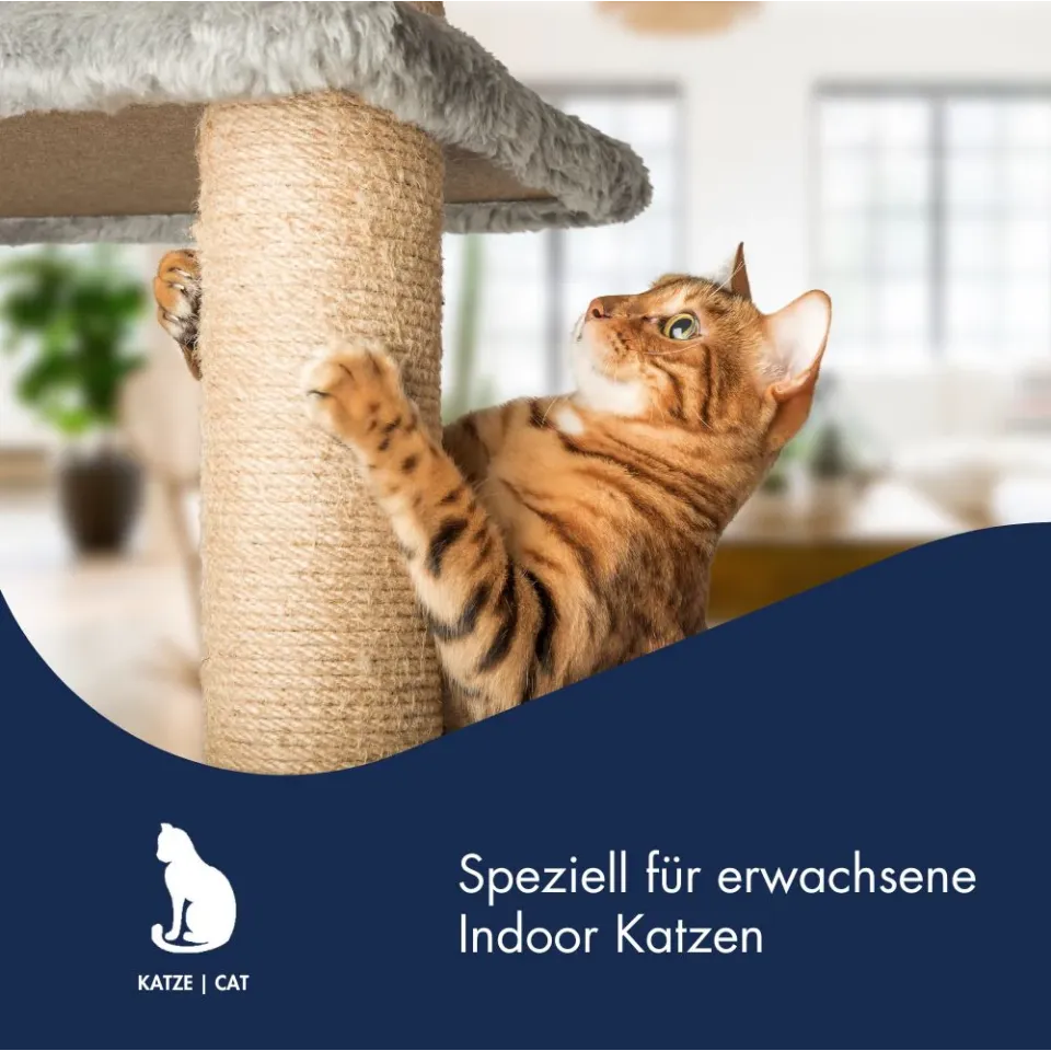 غذا خشک گربه داخل خانه دکتر کلادرز Dr. Clauder's High Premium Indoor