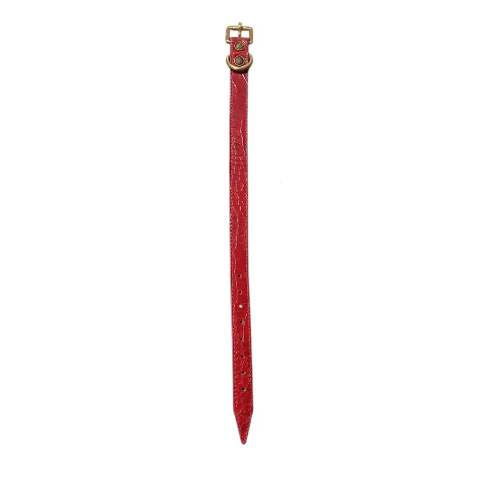 قلاده گردنی چرم سگ طرح پوست ماری سایز متوسط Leather Pet Collar Size M 