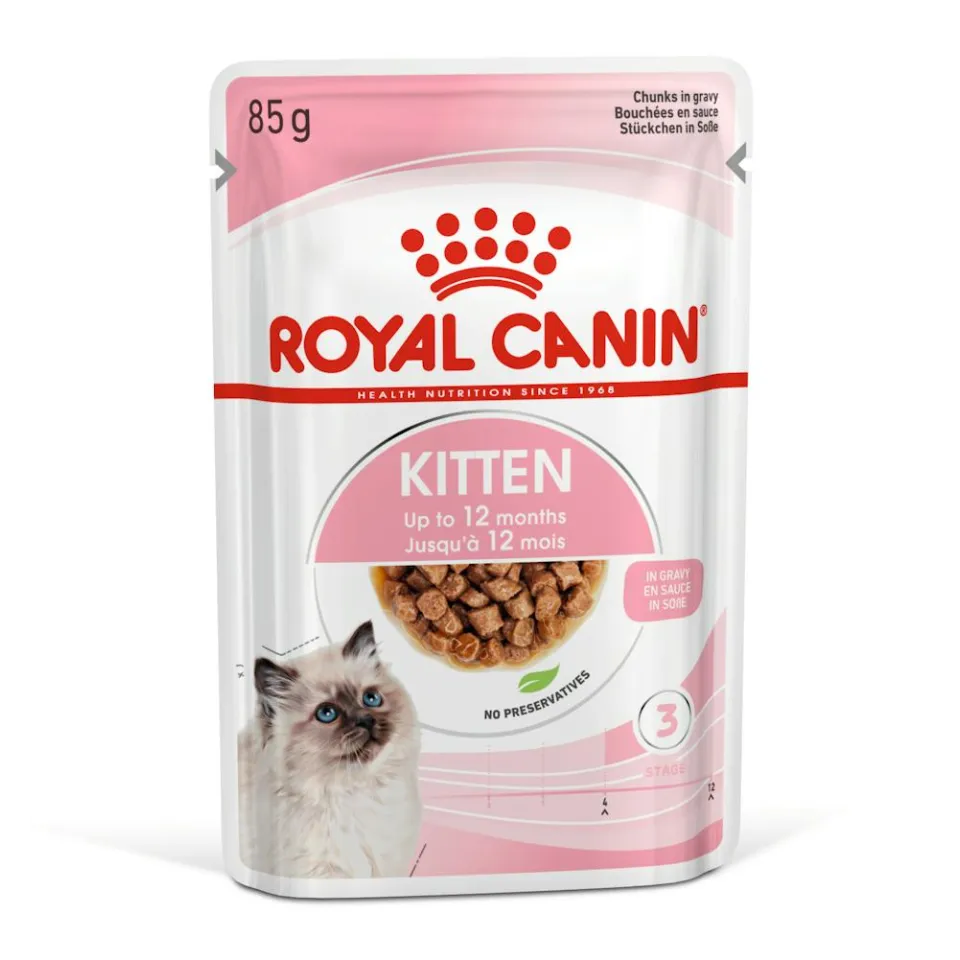 پوچ رویال کنین کیتن گریوی در سس گوشت :: Royal Canin kitten Gravy