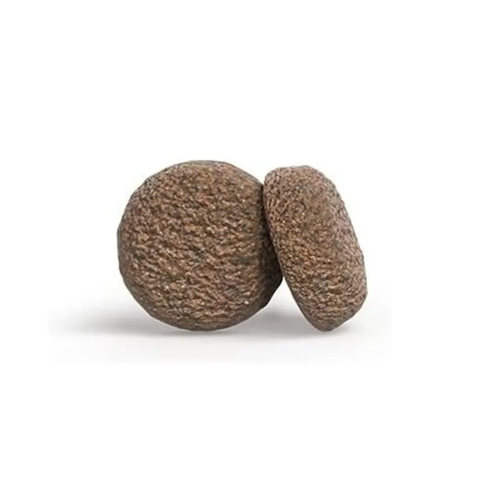 غذای سگ بالغ نژاد کوچک جوسرا مینی دلوکس Josera Mini Deluxe 10kg