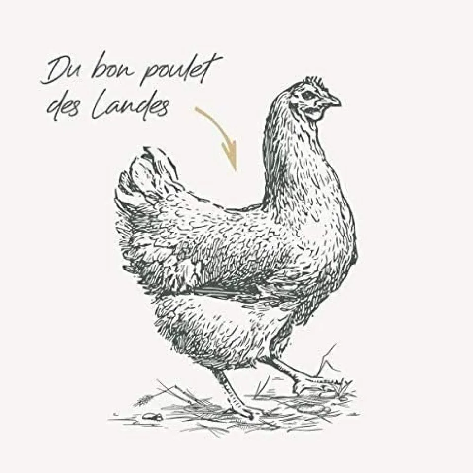 غذای خشک سگ نژاد کوچک عفیم شده بابین Babin Signature Mini Sterilised Adult With Chicken 2kg )