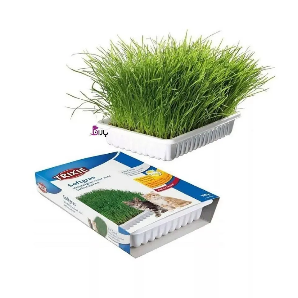 کیت بذر سبزه گربه تریکسی برای کاشت