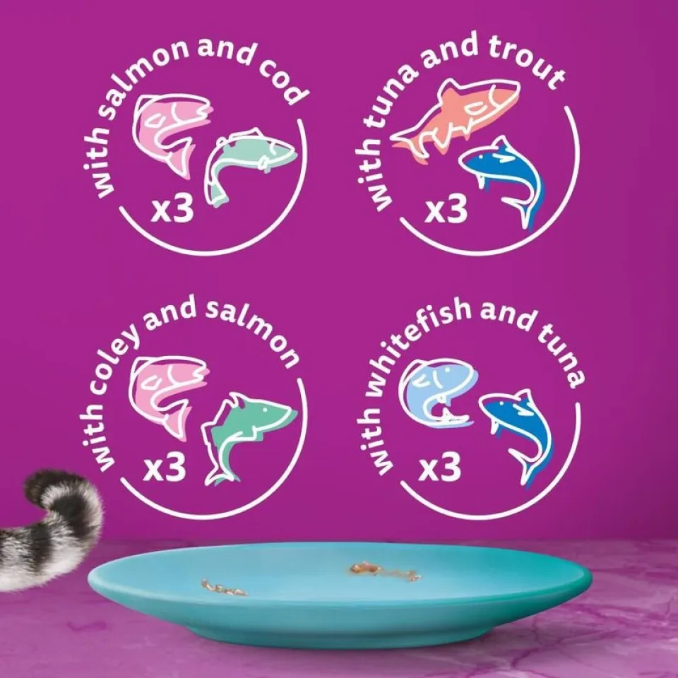 پک پوچ گربه ویسکاس انواع ماهی دریایی در ژله Whiskas 1+ Duo Ocean Delights in Jelly
