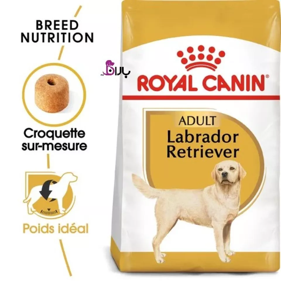 غذای سگ نژاد لابرادور رتریور بالغ رویال کنین (12 کیلوگرم)