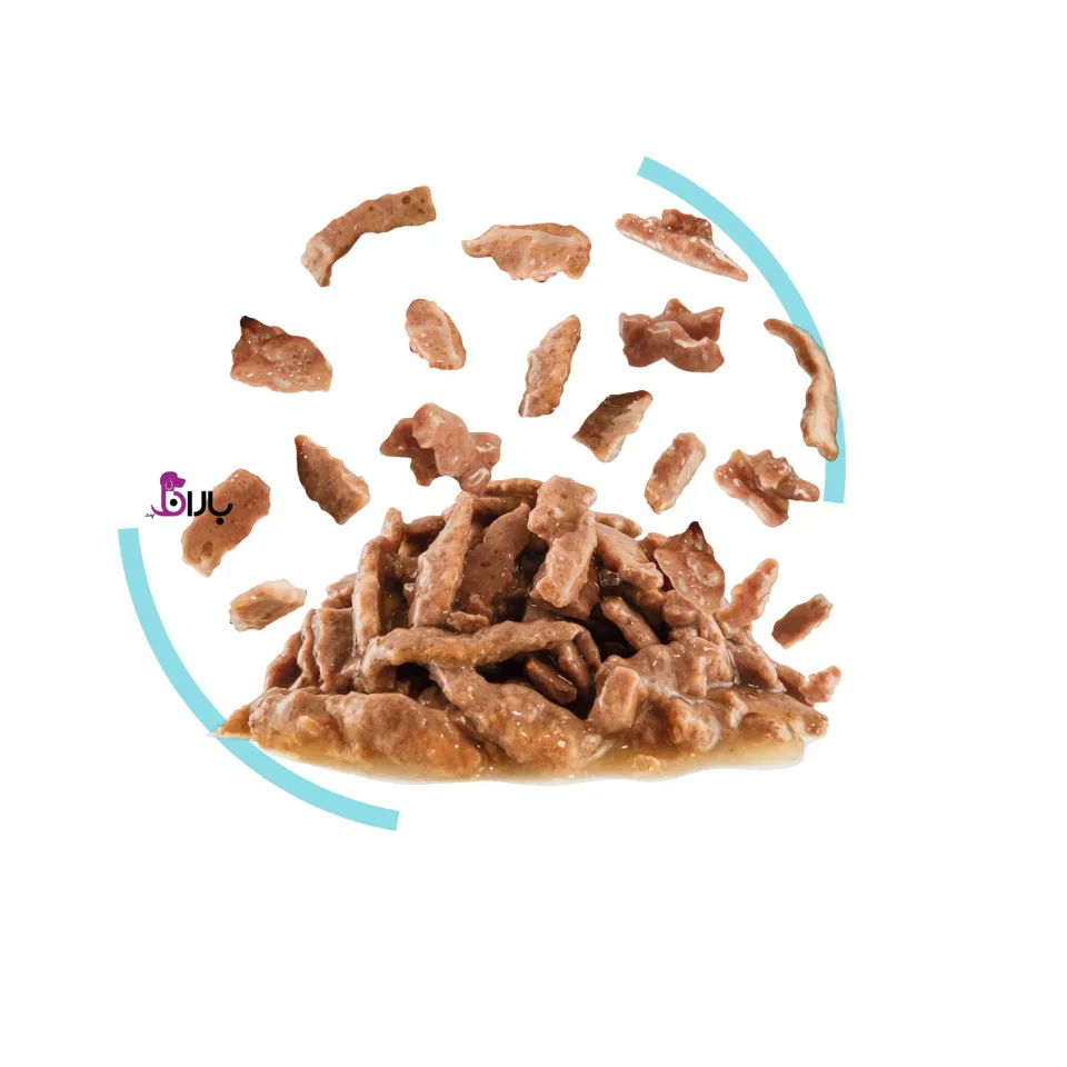 پوچ گربه رویال کنین سنسوری فیل مخصوص گربه حساس به طعم غذا