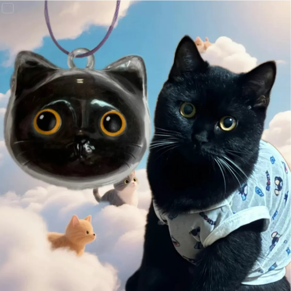 جاکلیدی با مخزن مو طرح صورت گربه Keychain With Cat Hair Container