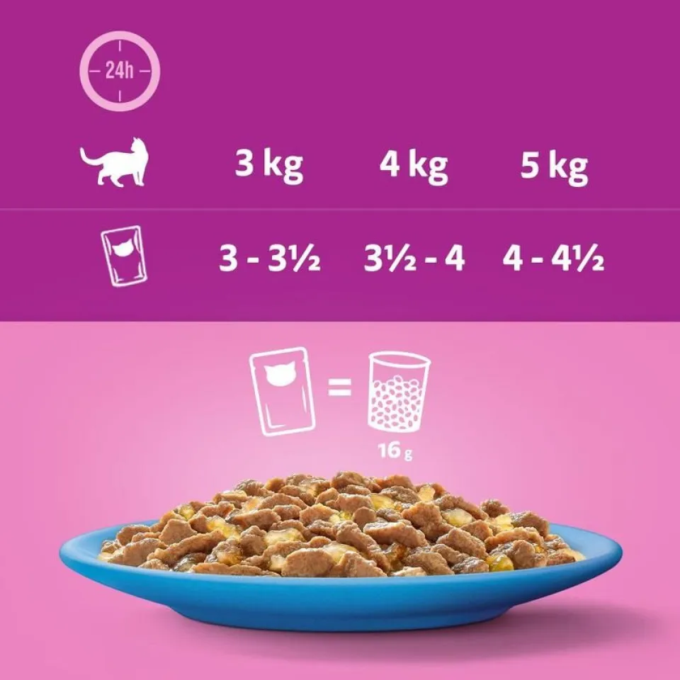پوچ گربه ویسکاس انواع ماهی در ژله پک اورجینال  Whiskas Fish Favourites in Jelly 