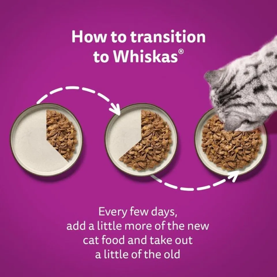 پوچ گربه ویسکاس انواع ماهی در ژله پک اورجینال  Whiskas Fish Favourites in Jelly 