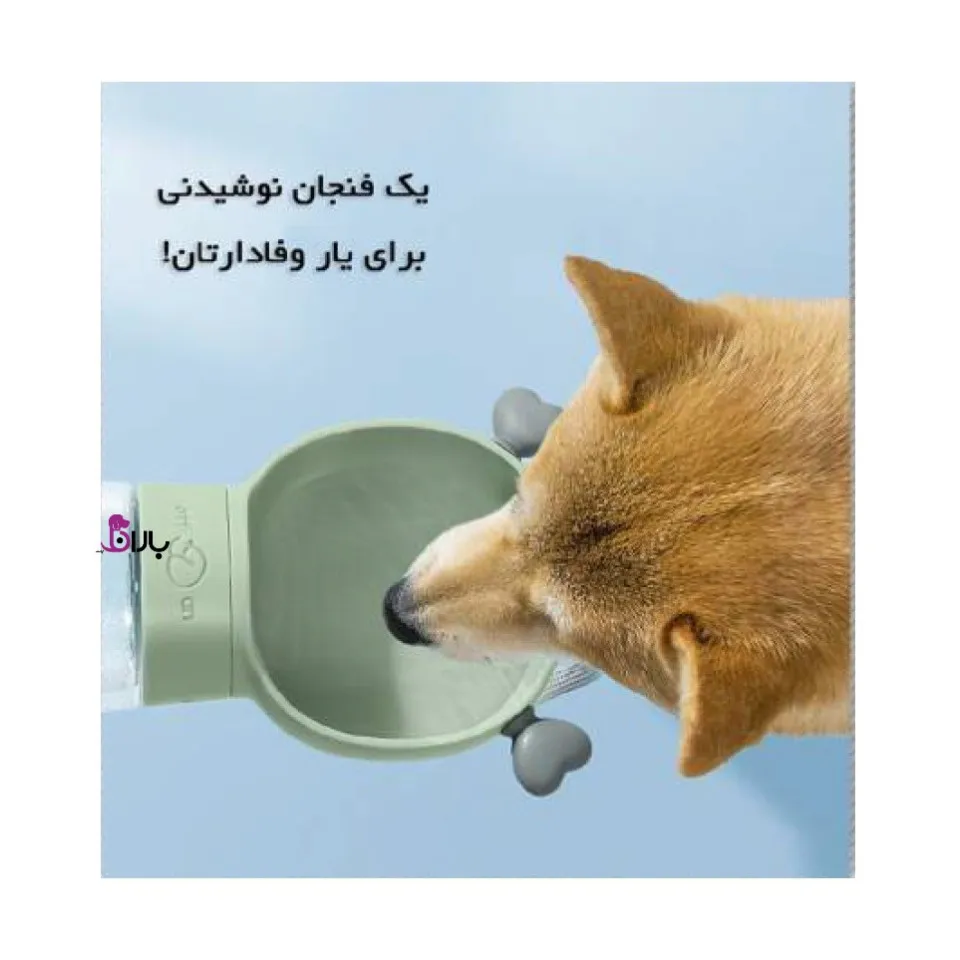 قمقمه آبخوری پرتابل سگ مدل خرسی