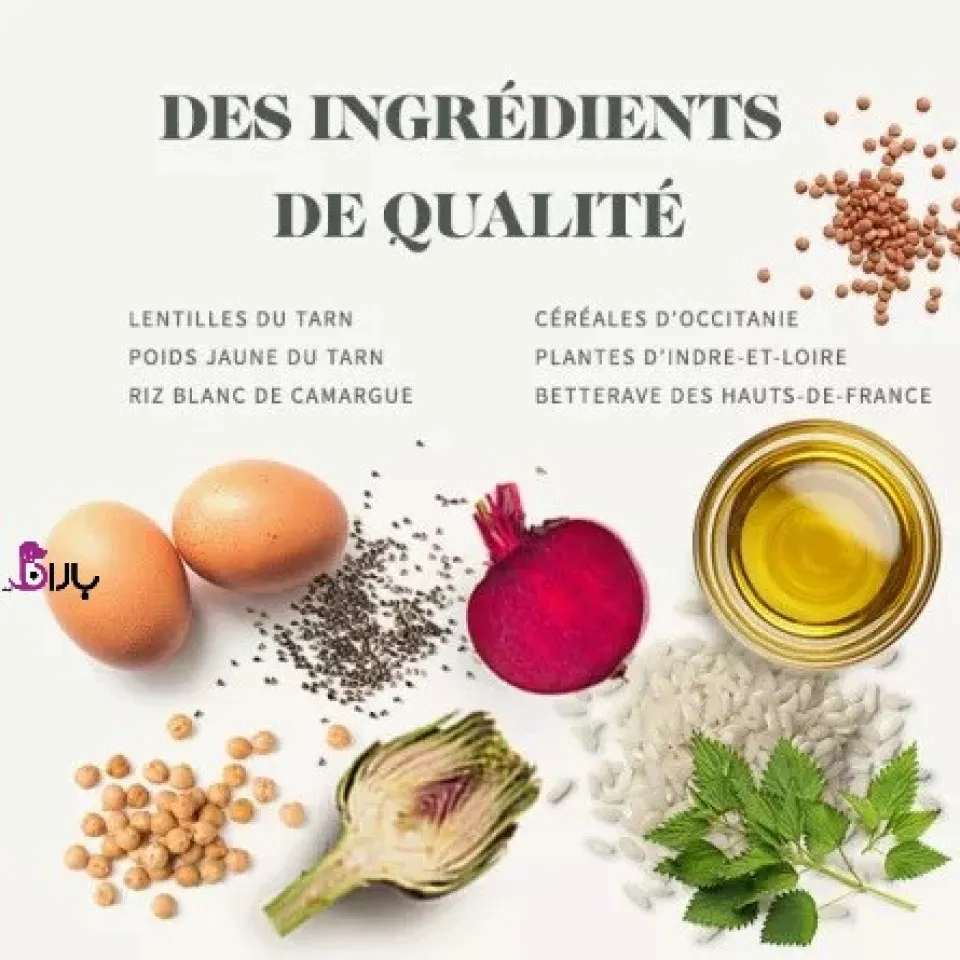 غذای بچه گربه عقیم بابین مرغ (1/5 کیلوگرم)
