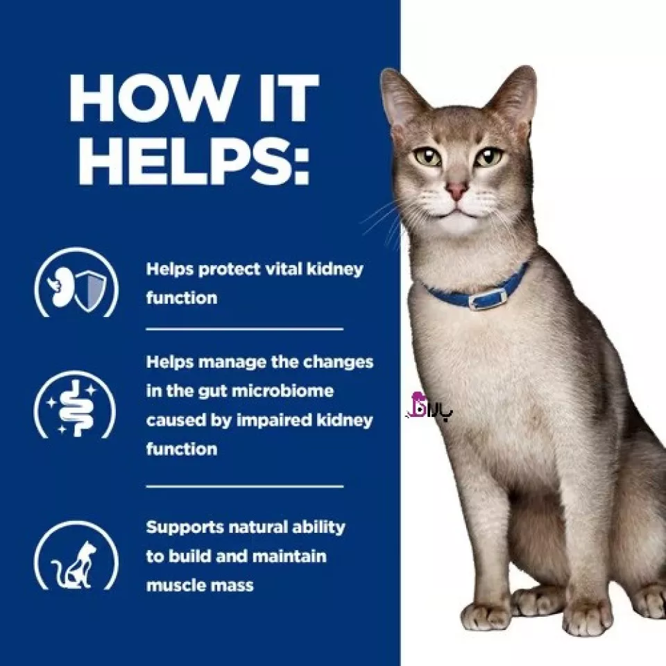 غذای خشک گربه هیلز مدل Kidney care با طعم ماهی