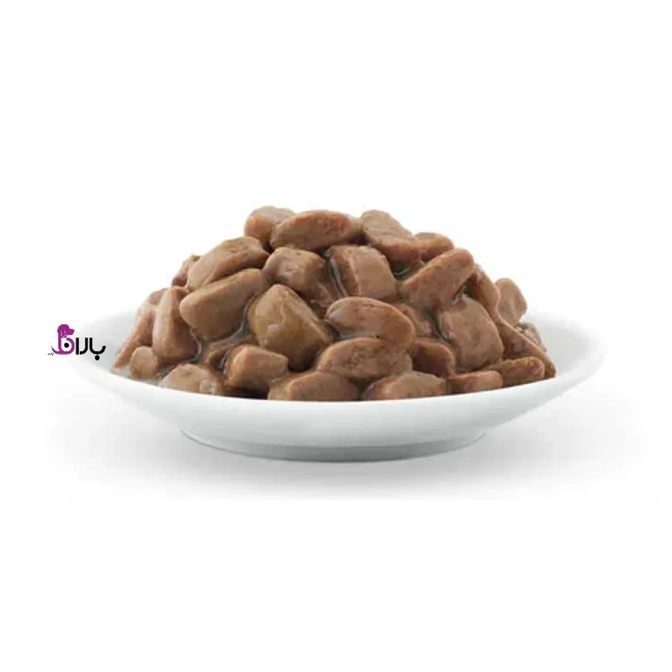پوچ گربه هیلز کیدنی k/d برای سلامت کلیه