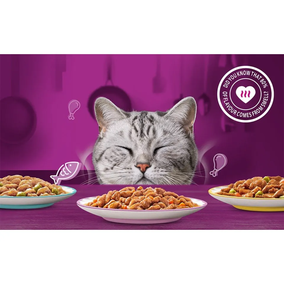 پوچ گربه ویسکاس گلچین طعم های بین المللی در سس پک اورجینال WHISKAS® 1+ Tasty Mix Country Collection In Gravy 