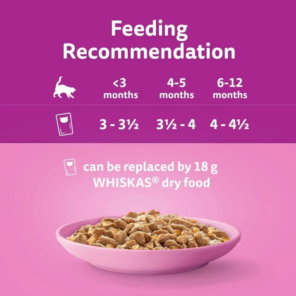 پک پوچ کیتن ویسکاس گوشت پرندگان در ژله  Whiskas Kitten Poultry Feasts in Jelly  