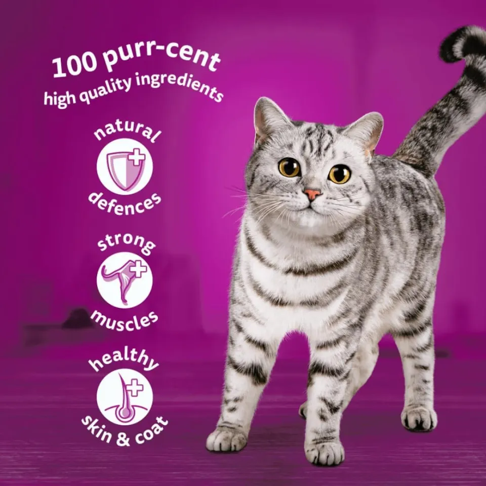  پوچ گربه ویسکاس انواع گوشت در ژله Whiskas Meaty Meals in Jelly 