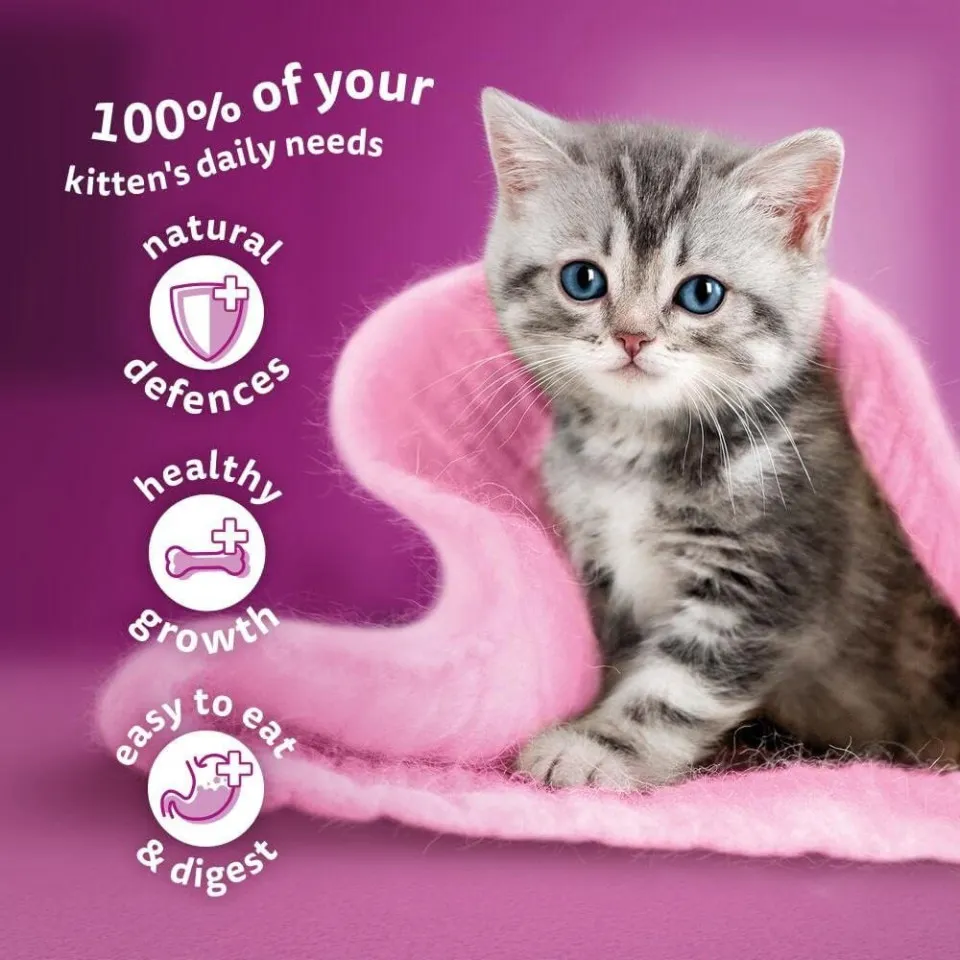پک پوچ بچه گربه ویسکاس گوشت پرندگان در ژله Whiskas Kitten Poultry Feasts in Jelly