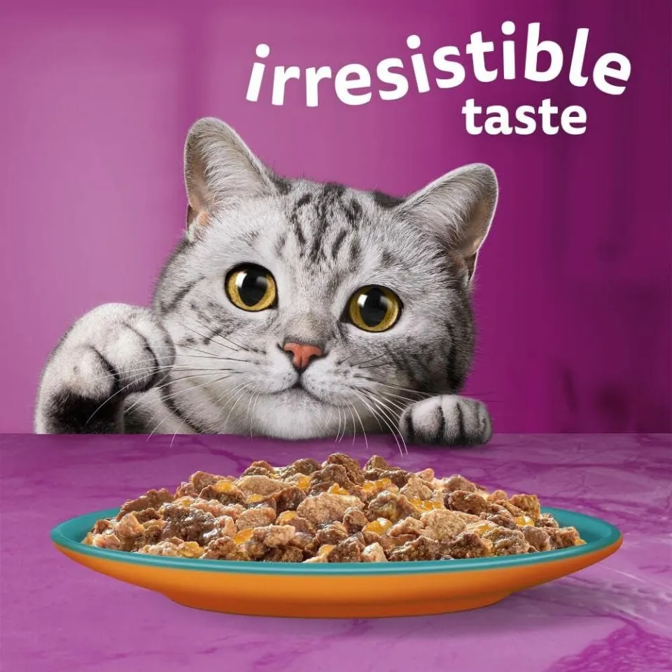  پک پوچ گربه ویسکاس گوشت و ماهی در ژله Whiskas Surf & Turf in Jelly