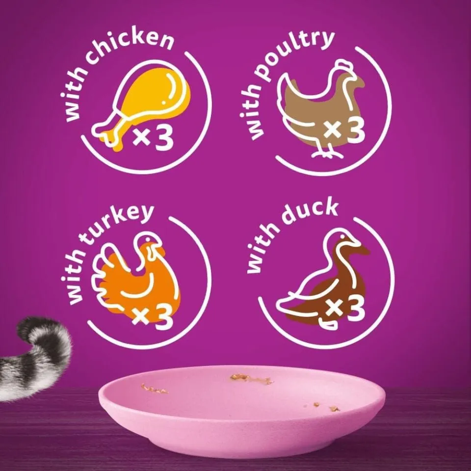 پک پوچ کیتن ویسکاس گوشت پرندگان در ژله  Whiskas Kitten Poultry Feasts in Jelly  