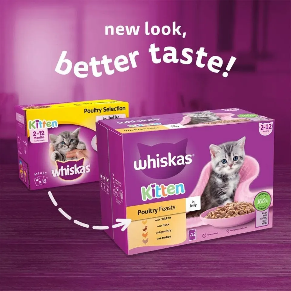 پک پوچ کیتن ویسکاس گوشت پرندگان در ژله  Whiskas Kitten Poultry Feasts in Jelly  
