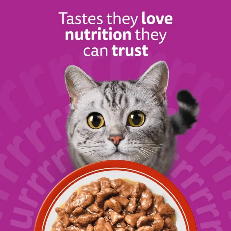  پوچ گربه ویسکاس انواع گوشت در ژله Whiskas Meaty Meals in Jelly 