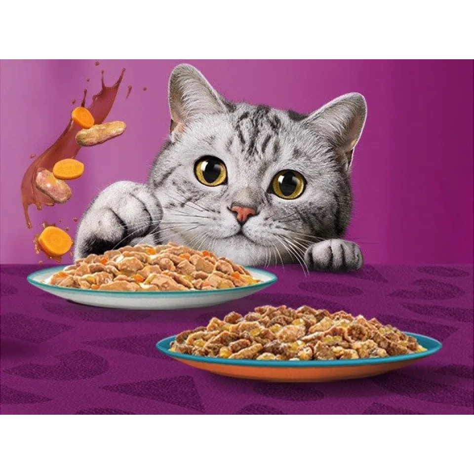 پوچ گربه ویسکاس گلچین طعم های بین المللی در سس پک اورجینال WHISKAS® 1+ Tasty Mix Country Collection In Gravy 