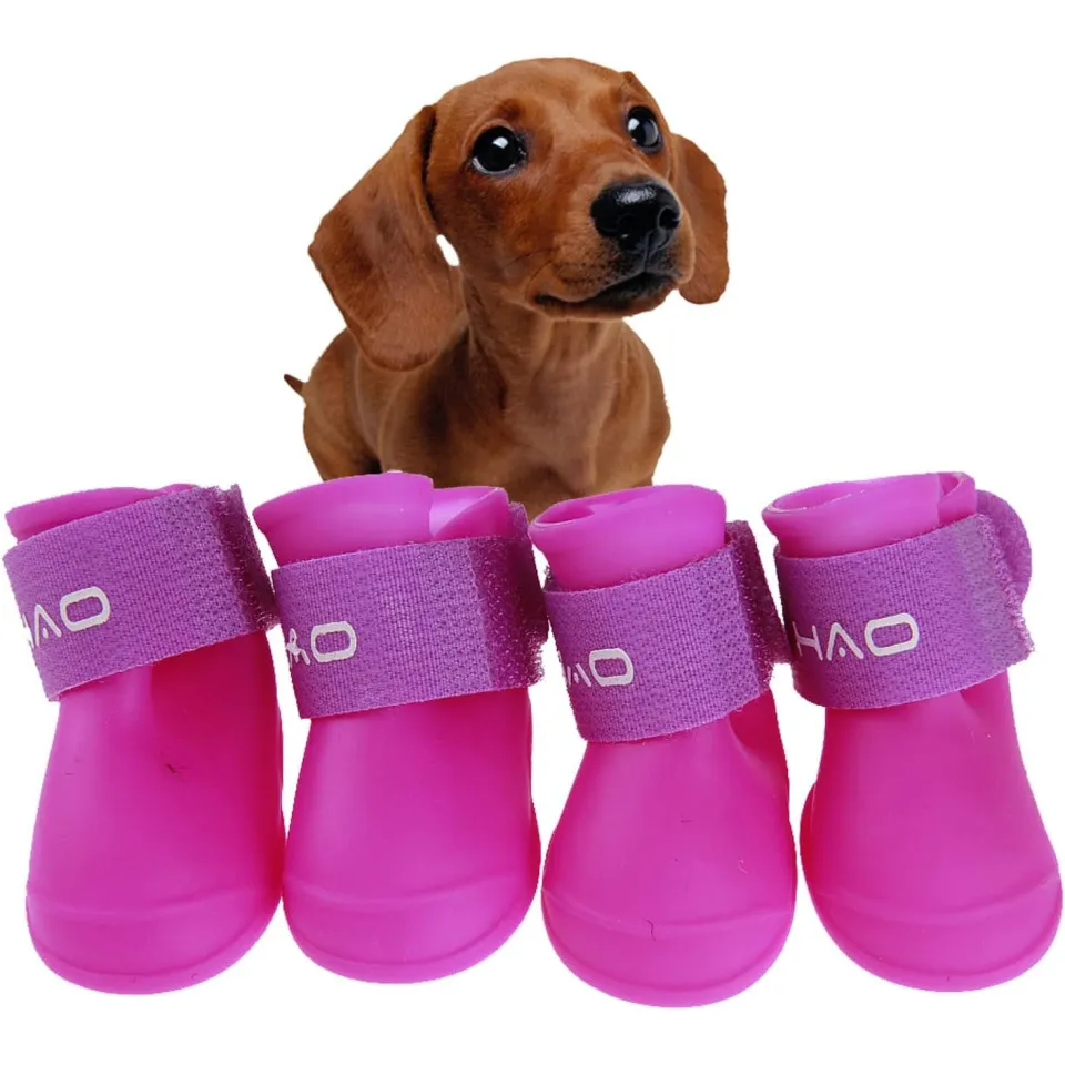 پاپوش سگ کوچک و گربه Pet Shoes-S