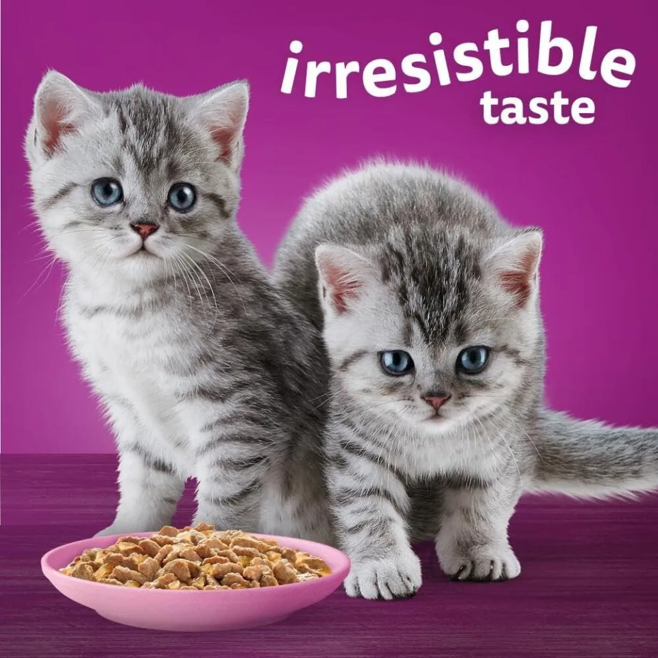 پک پوچ بچه گربه ویسکاس گوشت پرندگان در ژله Whiskas Kitten Poultry Feasts in Jelly