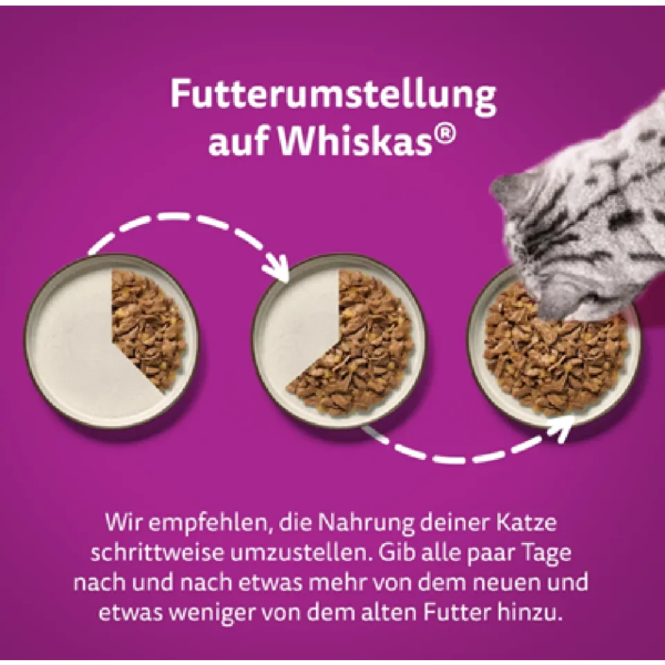 پوچ گربه ویسکاس منتخب انواع مرغ معطر بی نظیر در سس سبزیحات  WHISKAS® 1+ Aromatic Purrfect Poultry Selection