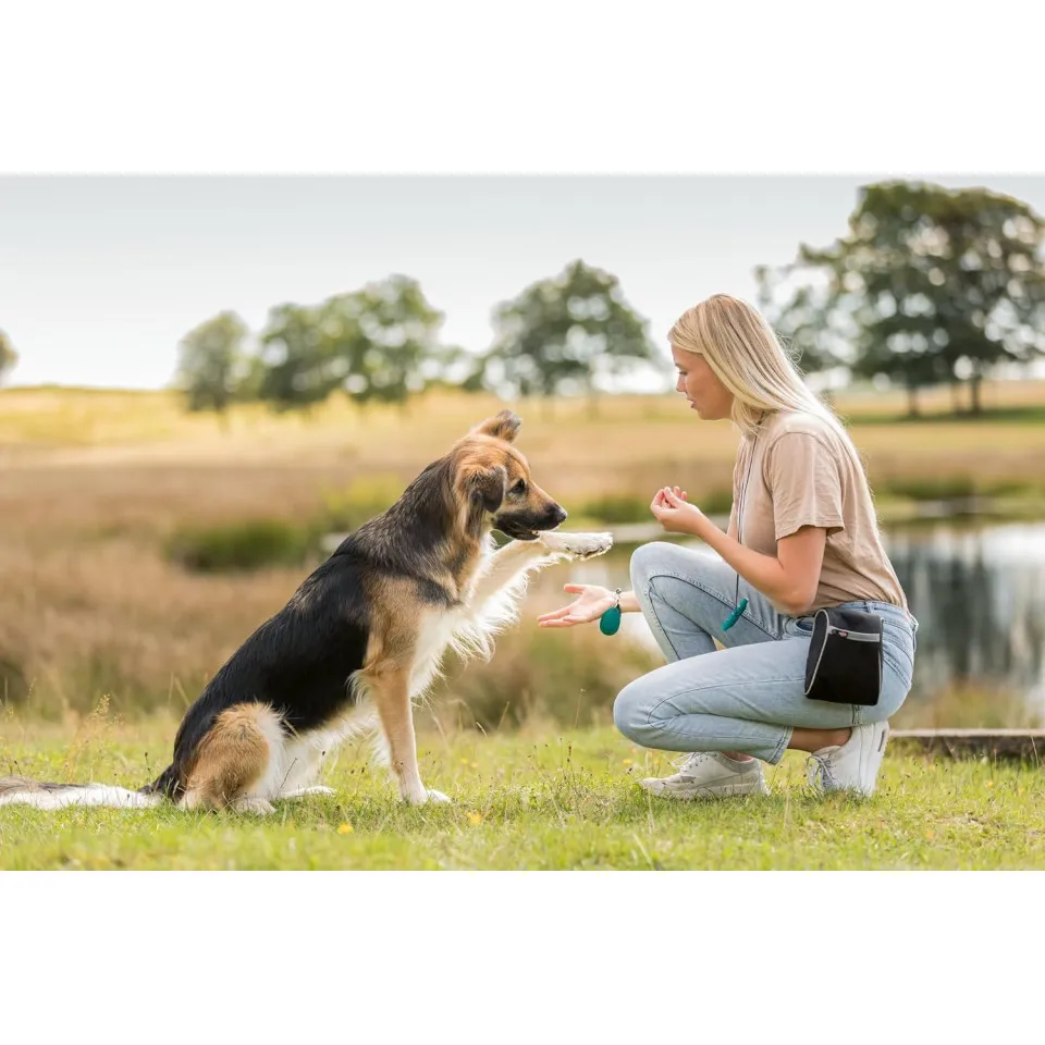 تشویقی جویدنی استخوان اردک تریکسی – Trixie Duck Chewing Bones