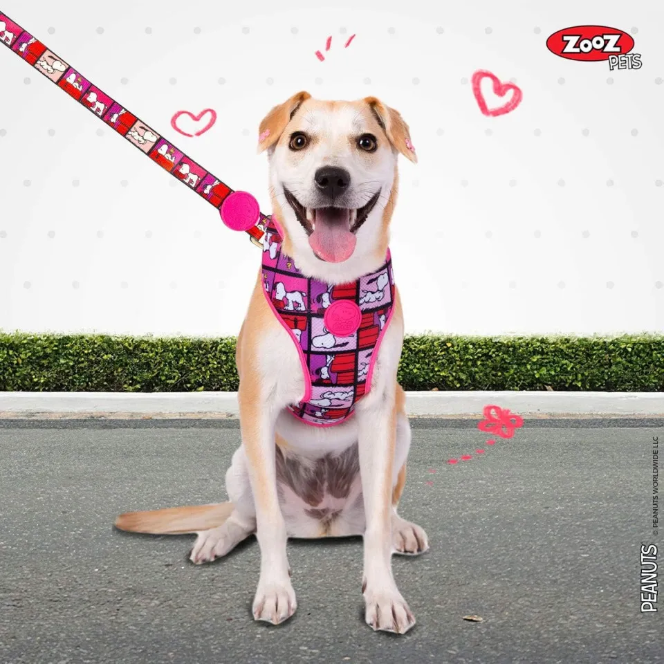 هارنس شکمی سگ طرح اسنوپی ZOOZ PETS Snoopy Dog Harness 