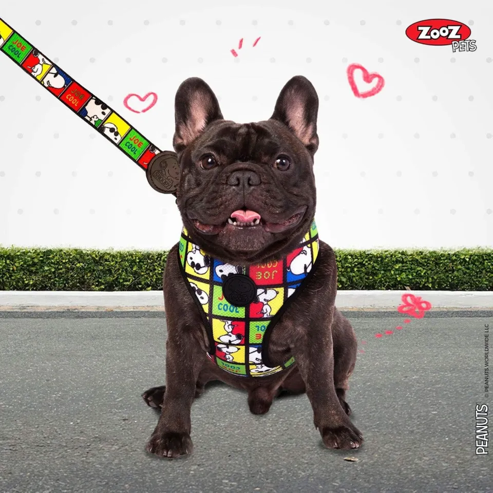 هارنس شکمی سگ طرح اسنوپی ZOOZ PETS Snoopy Dog Harness 