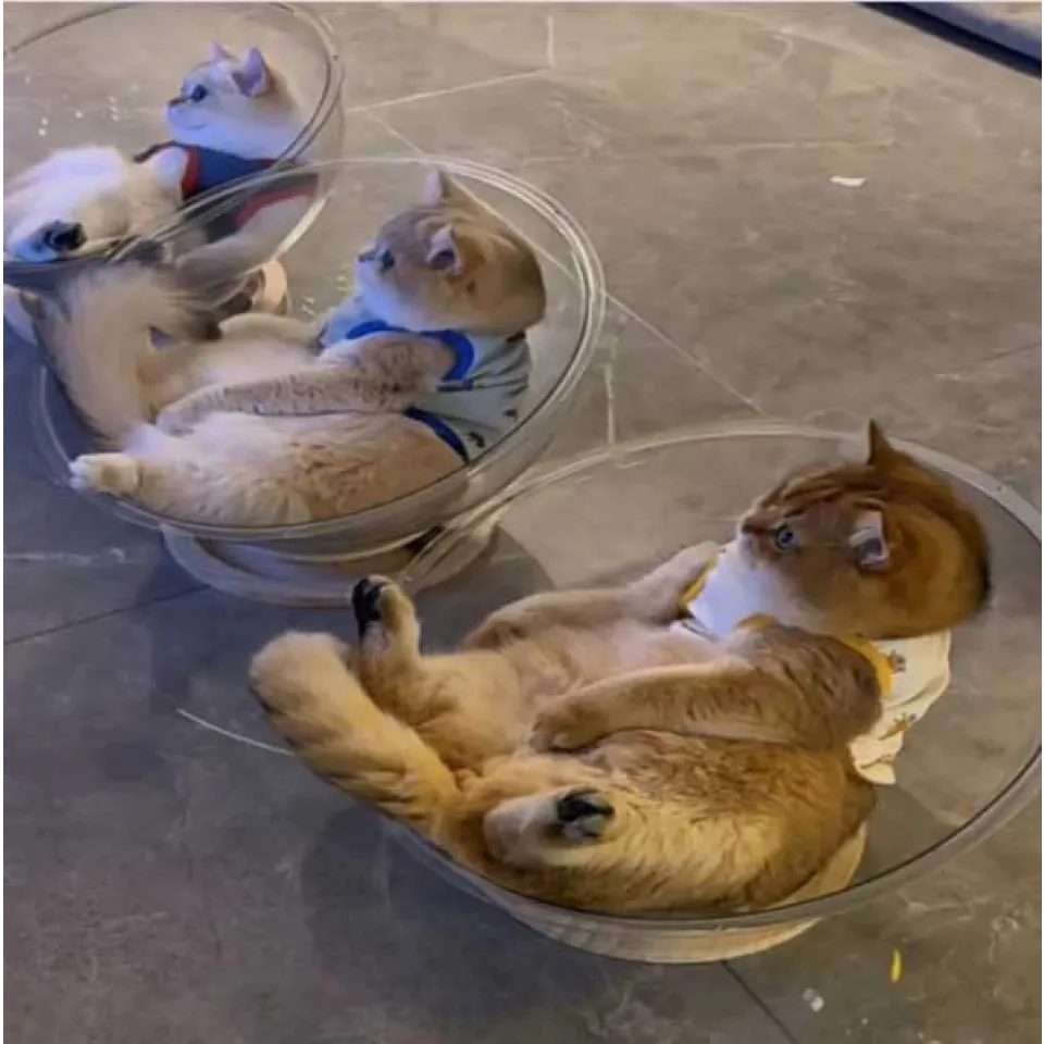 جای خواب شیشه ای گربه مدل فضایی Space Capsule Cat Bed