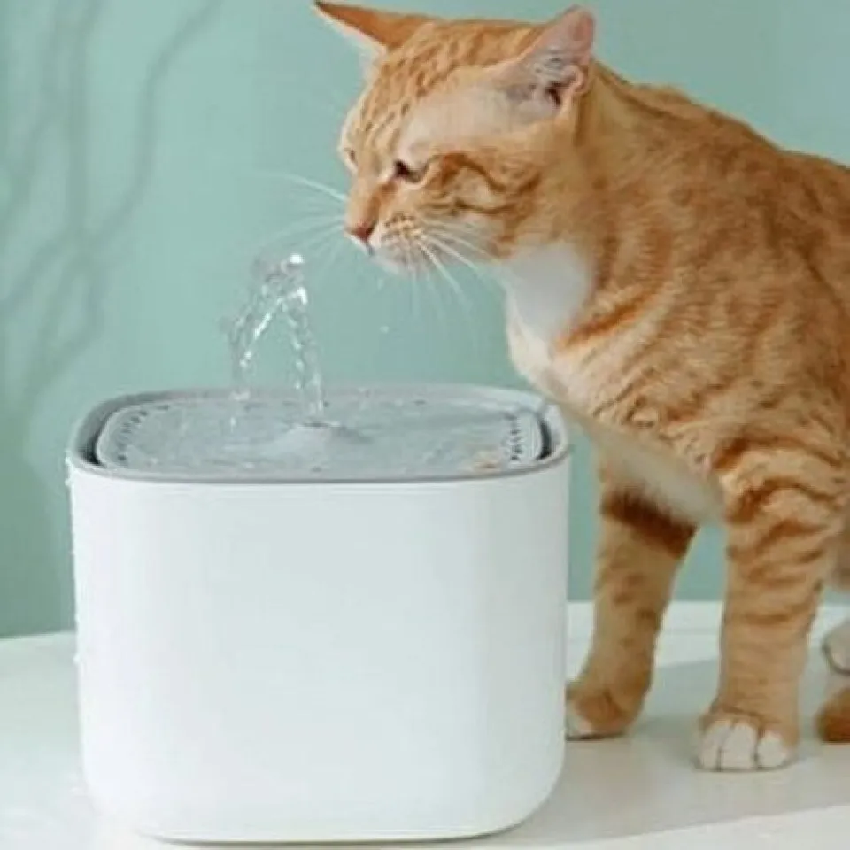 ظرف آبخوری اتوماتیک سگ و گربه  Pet Water Dispenser،