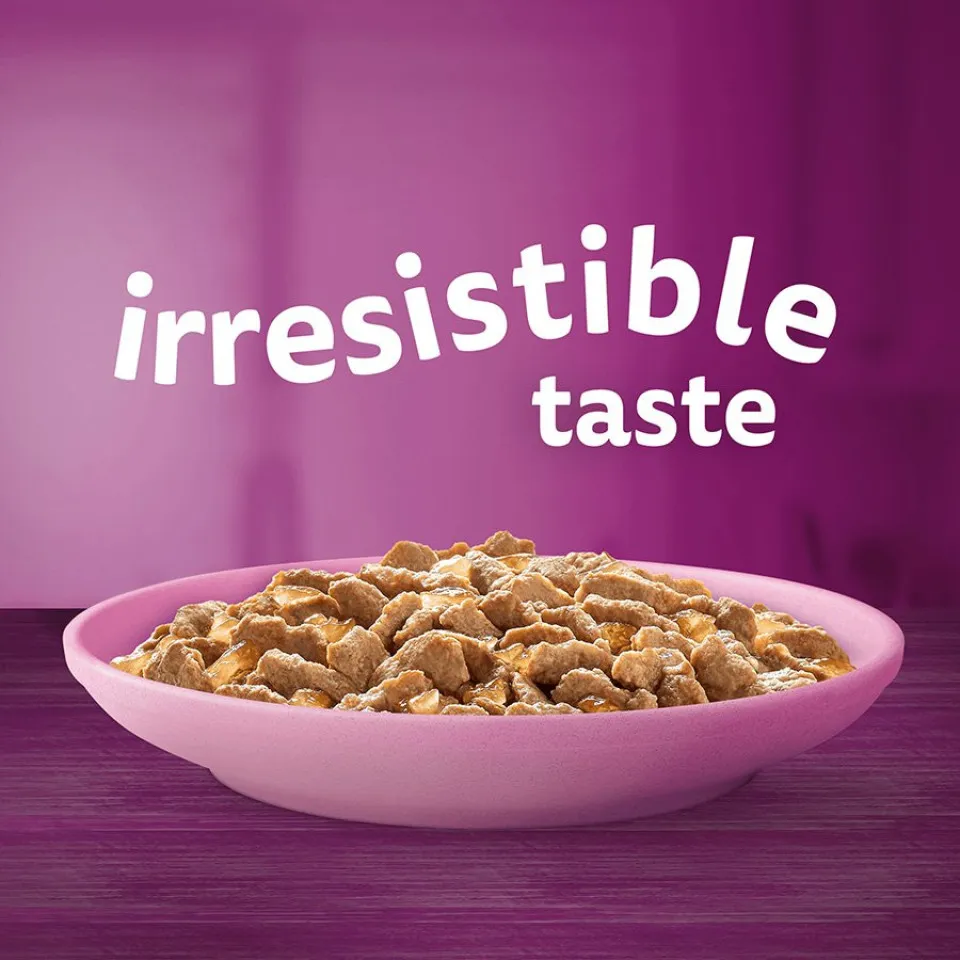  Whiskas Kitten Wet Cat Food 
