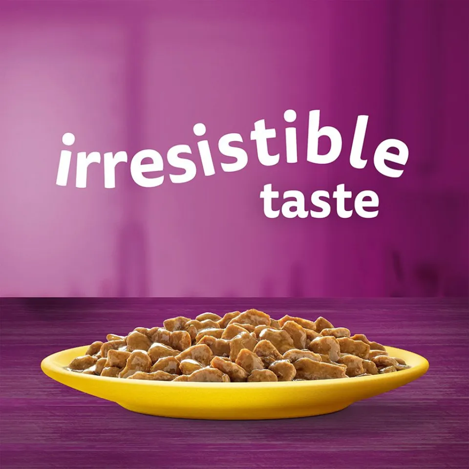 پک پوچ گربه ویسکاس گوشت پرندگان در سس گریوی (12 عددی) Whiskas Poultry Feasts in Gravy 