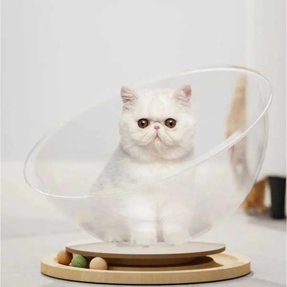 جای خواب شیشه ای گربه مدل فضایی Space Capsule Cat Bed