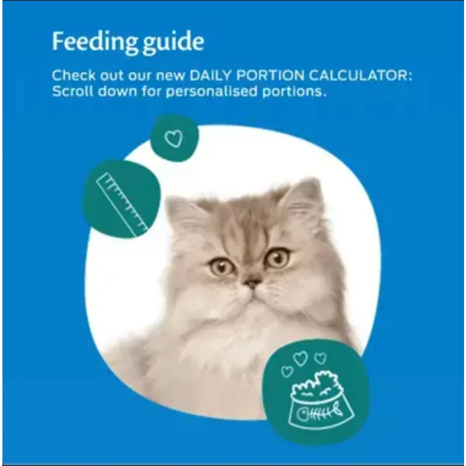 پوچ گربه فلیکس منتخب انواع ماهی در ژله پک اورجینال Felix Original Fish Selection in Jelly Wet Cat Food 