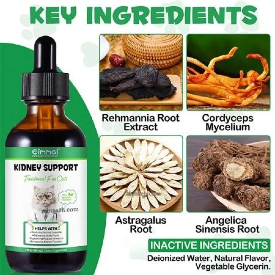 قطره گیاهی مراقبت از کلیه گربه اویمال Oimmal Kideny Support Treatment for cats 