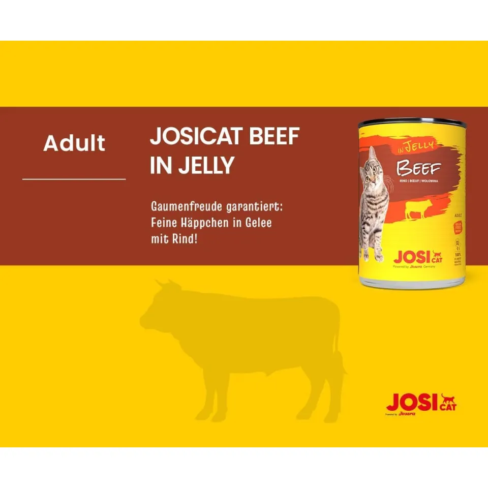 کنسرو گربه جوسرا جوسی گوشت در ژله Josera Josi Cat Beef in Jelly 