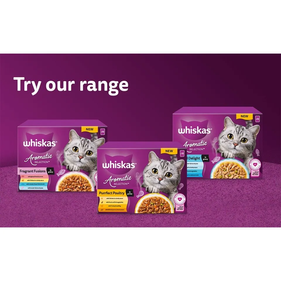 پوچ گربه ویسکاس منتخب انواع ماهی معطر لذیذ در سس سبزیحات پک اورجینال WHISKAS® 1+ Aromatic Seafood Delight Selection In Gravy