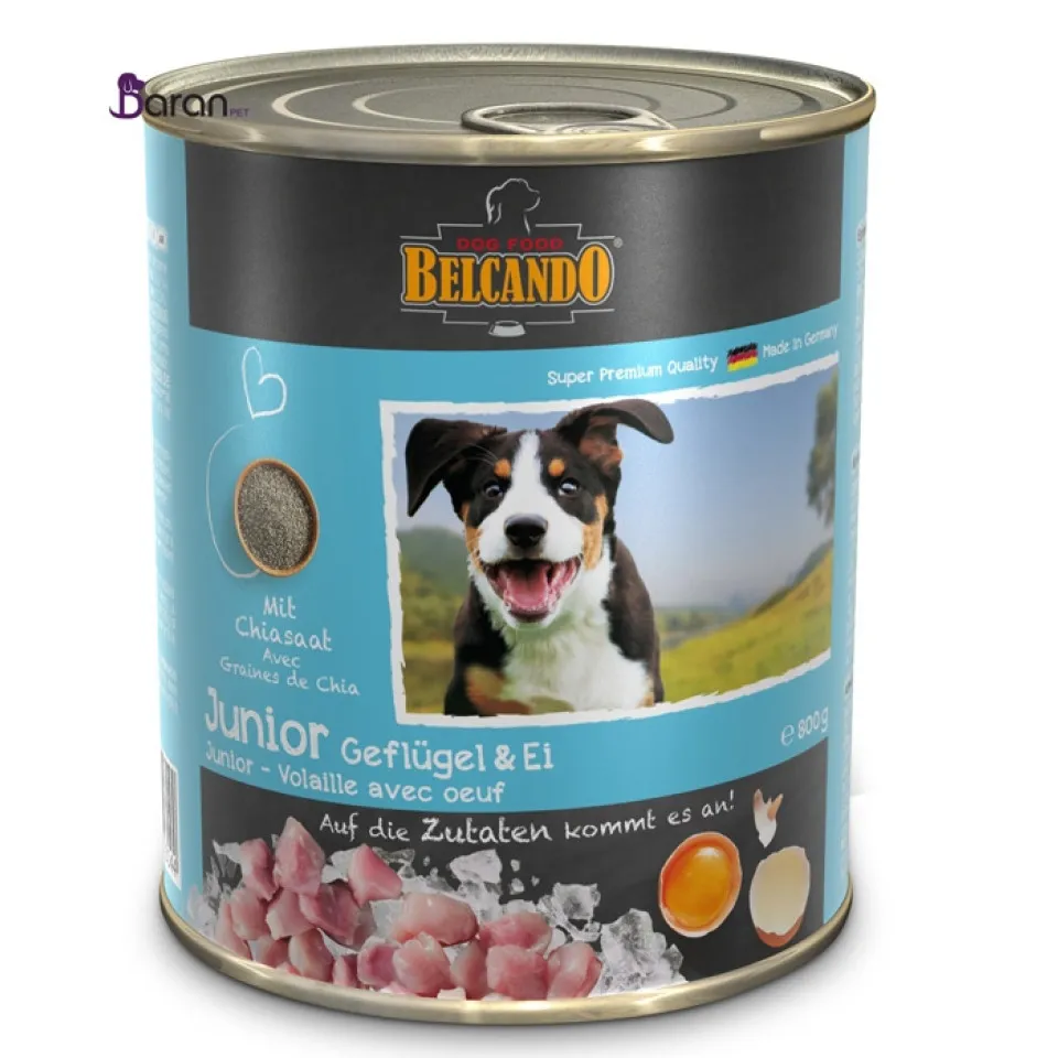 کنسرو سگ بلکاندو حاوی گوشت پرندگان و تخم مرغ :: Belcando Junior Poultry with Eggs