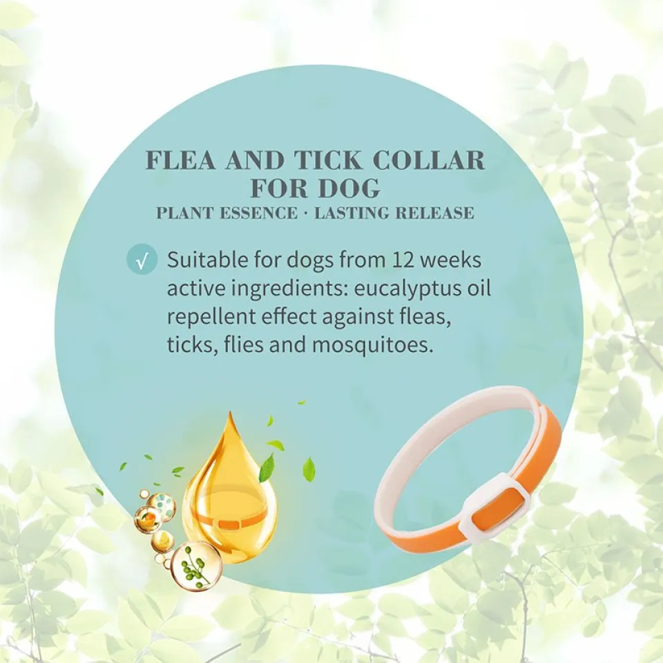 قلاده ضد کک و کنه سگ بایولاین :: Bioline Flea & Tick Collar for Dogs