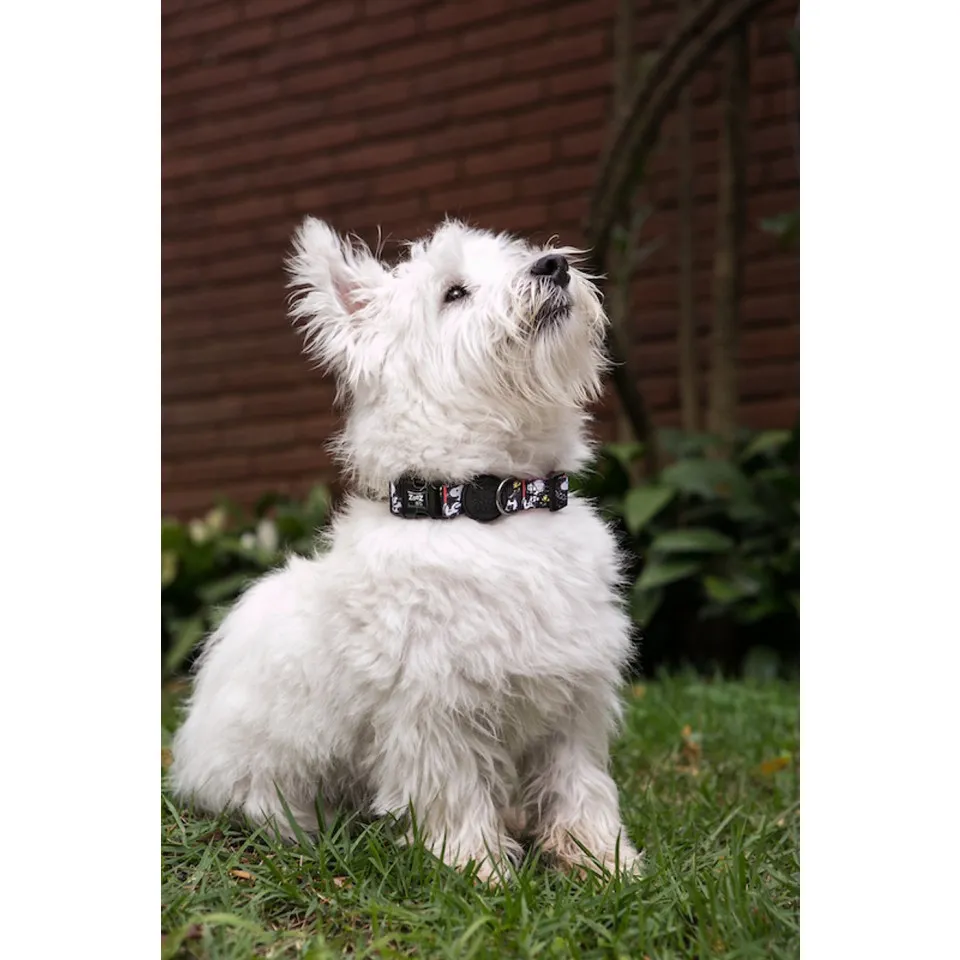 قلاده گردنی اسنوپی مشکی : Zooz Collar Snoopy Film Black