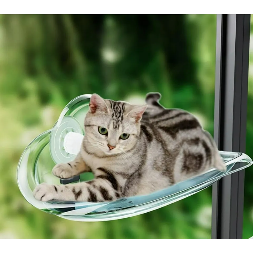 جای خواب گربه شیشه ای پشت پنجره شفاف Cat Transparent Window Perch
