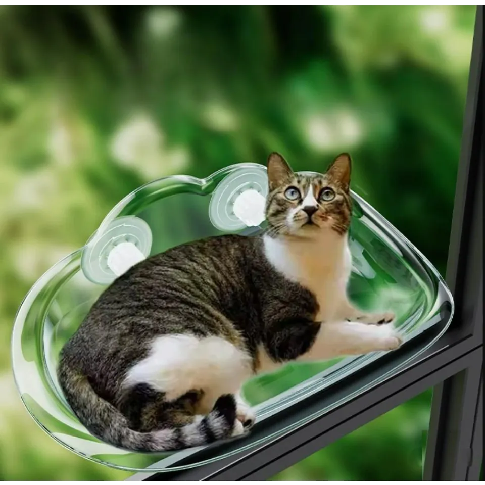 جای خواب گربه شیشه ای پشت پنجره شفاف Cat Transparent Window Perch