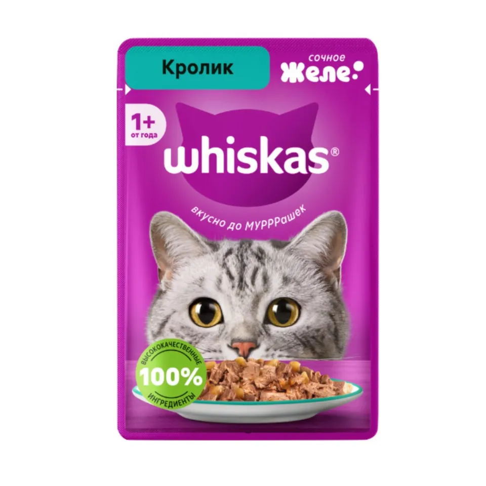 پوچ گربه ویسکاس خرگوش در ژله