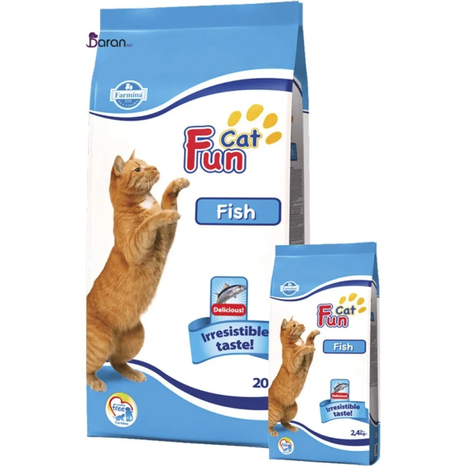 غذای خشک گربه فان کت حاوی ماهی :: Fun Cat Fish