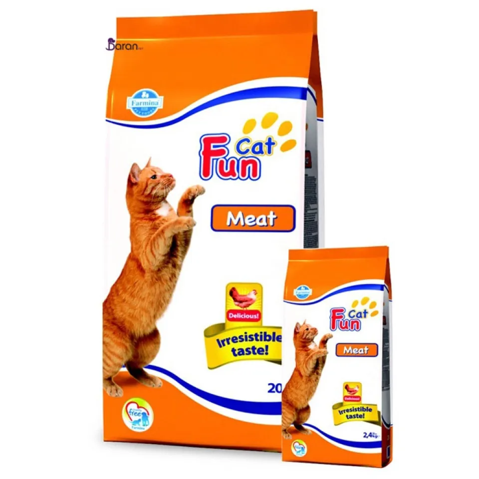 غذای خشک گربه فان کت حاوی گوشت :: Fun Cat Meat