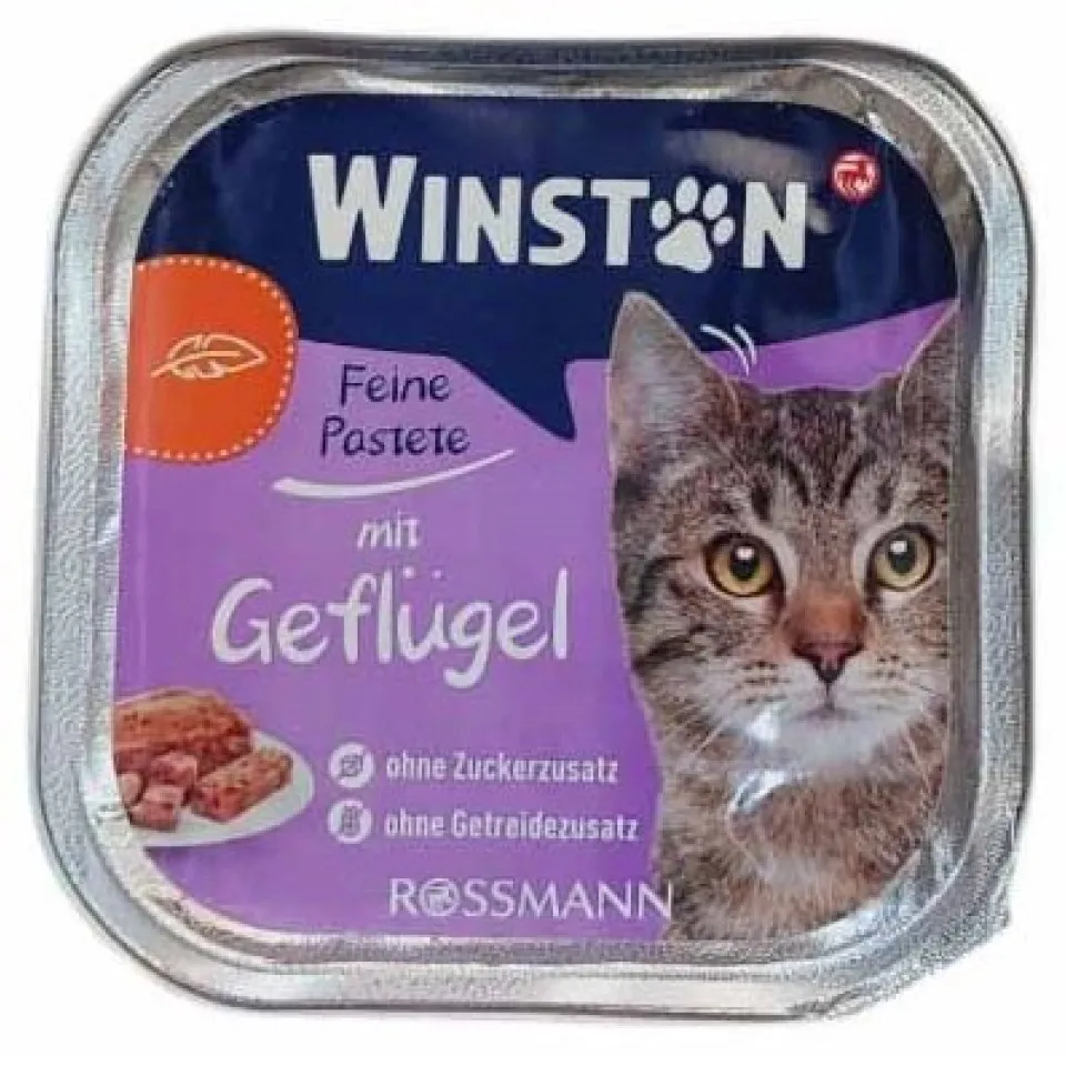 ووم گربه وینستون مرغ :: Winston Geflugel